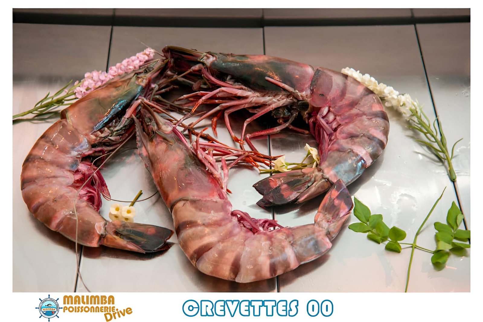 Gambas